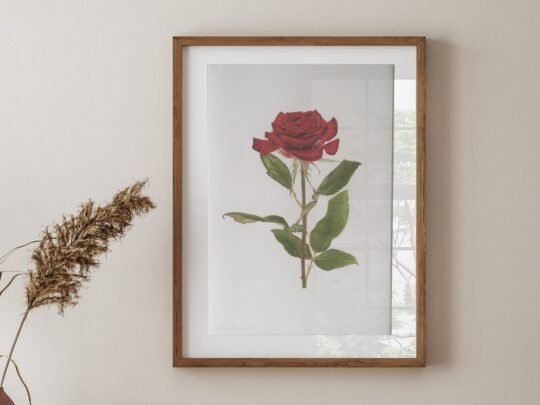 {{brizy_dc_image_alt entityId=